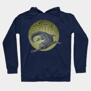 Gharial Hoodie